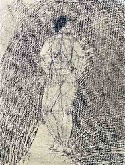 Female Nude, Lights and Darks