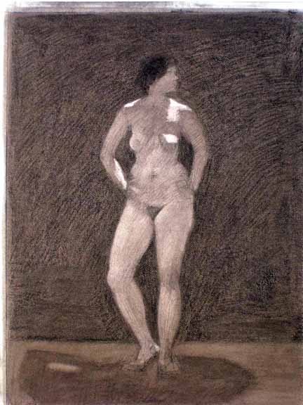 Female Nude, Lights and Darks