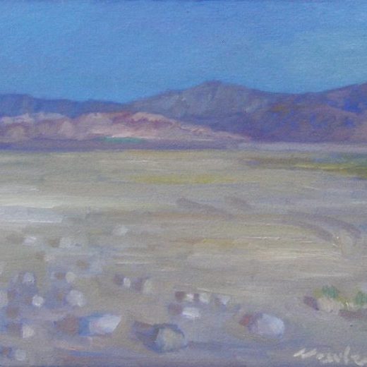 Newberry, Mojave, 2017, oil on panel, 12x16"