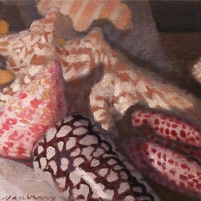 Newberry, Shells Triptych 3, 2009, 6x6"