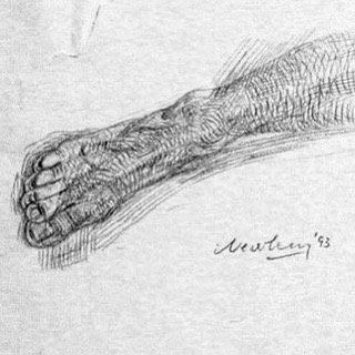 newberry_foot_study_pond_graphite