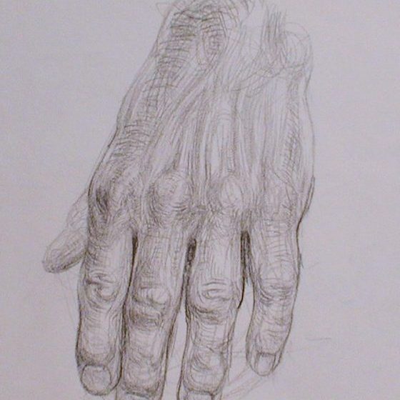 newberry_hand_study_pond_graphite