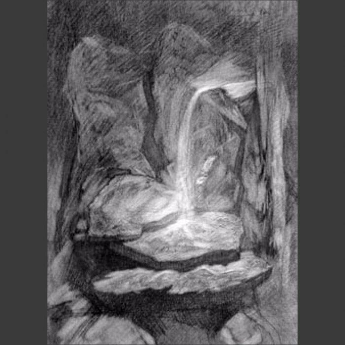newberry_waterfall_study_synergy_charcoal