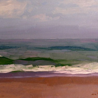 Newberry, Apollo Beach Florida Green Waves