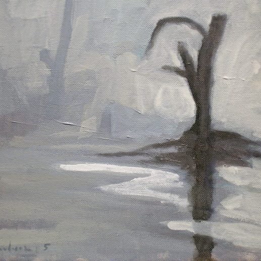 Newberry, St. Pete Lone Mangrove in Fog