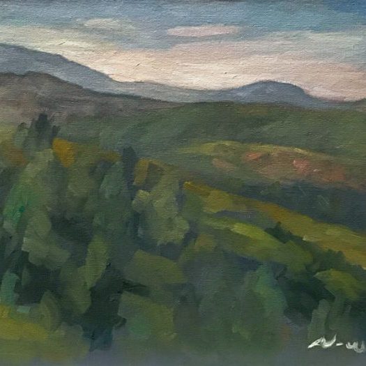 Newberry, Idyllwild a Few Days Before the Big Fire