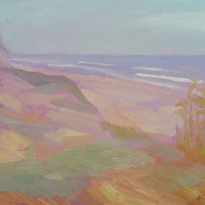 Newberry, California Beach San Onofre Gold Blue