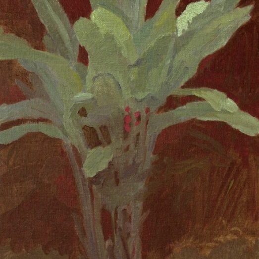 Newberry, Kauai Banana Tree