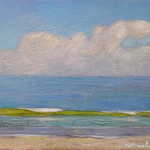 Newberry, Green Wave Apollo Beach Florida