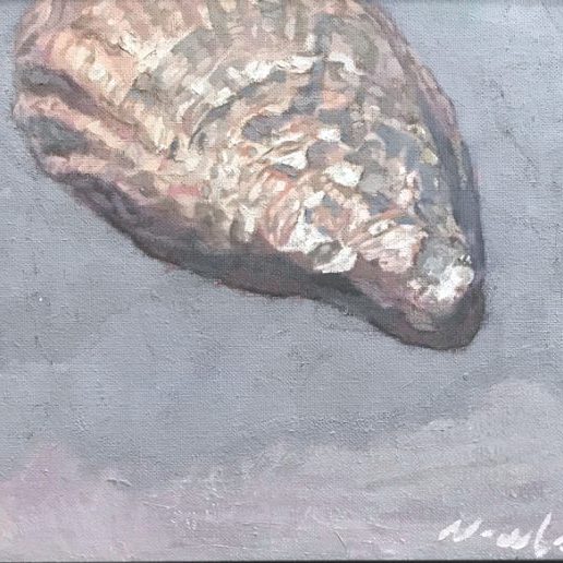 Newberry, Oyster Shell, 2019, oil on panel, 9x12"