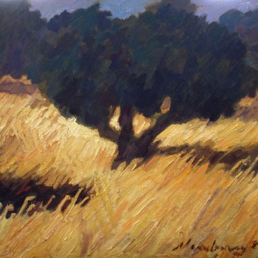 Newberry, Rhodes Greece, Olive Grove