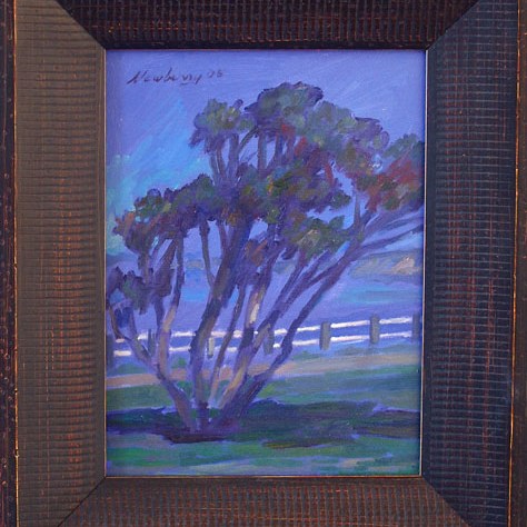 Newberry, California, La Jolla Tree