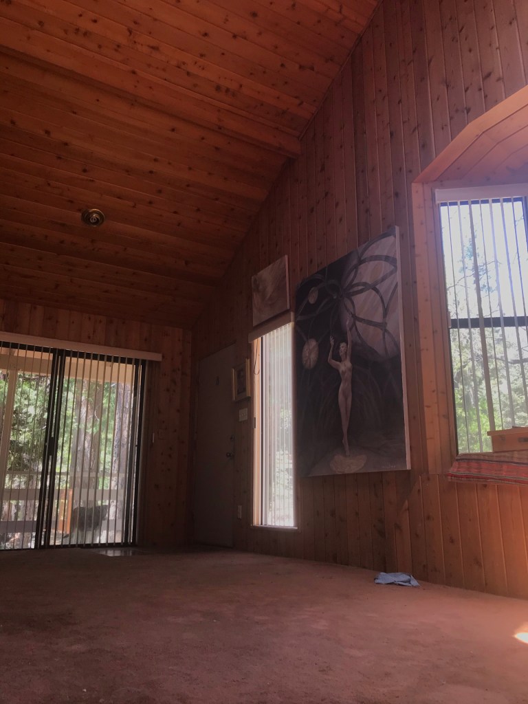 Newberry Studio in Idyllwild, California #5