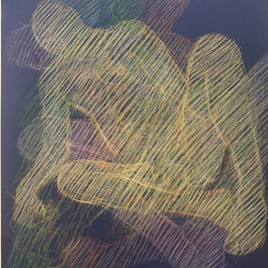 newberry reclining echoes 2020 pastel overlapping poses on black paper