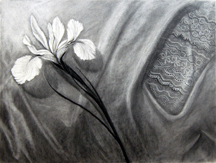 Mary Woodul, Espíritu Ascendente, charcoal on Rives BFK, 13x19"