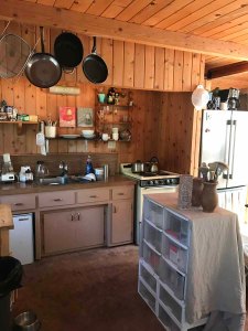 newberry-idy-summer-2020 (6)f