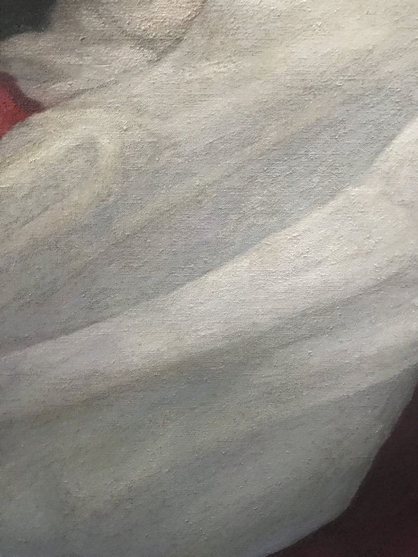 , Transcending Traitors, cloth 2 detail, 2020, oil on linen