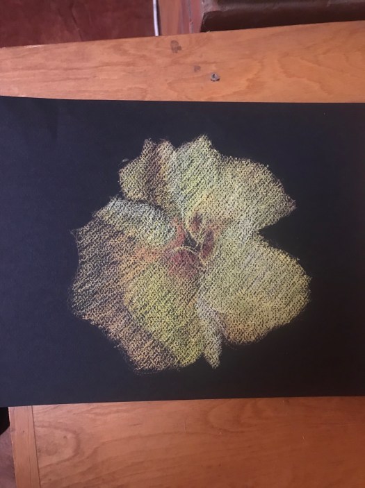 susan-surber-flower-pastel-1