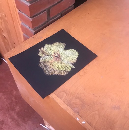 susan-surber-flower-pastel-2