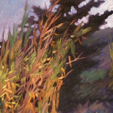 newberry-bamboo-rhodes-oil