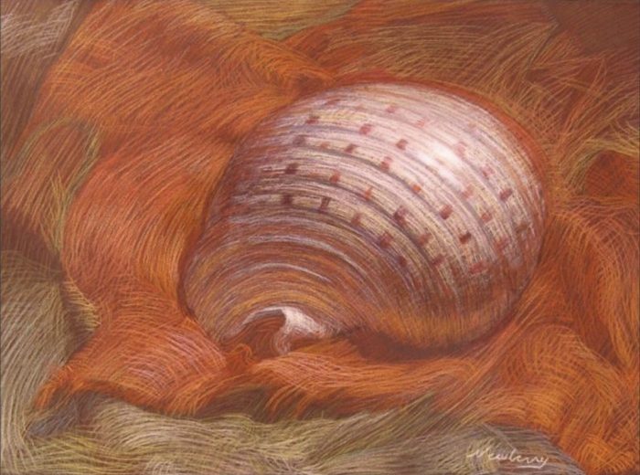 Newberry, Shell on Orange Linen, pastel