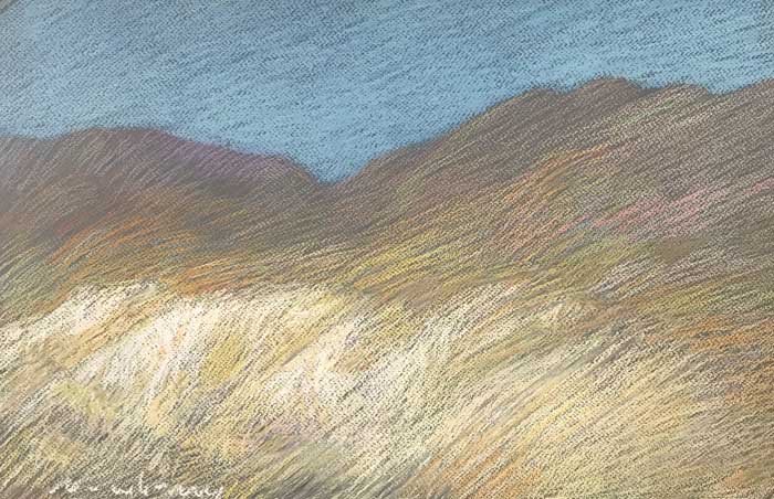 Newberry, Borrego Springs, 2020, pastel, 13x18"
