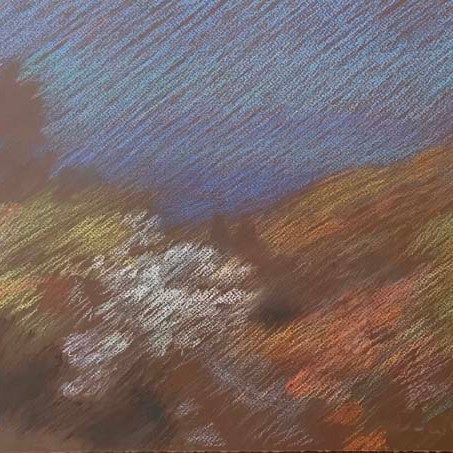 Newberry, Idyllwild Bend, 2020, pastel, plein air, landscape.