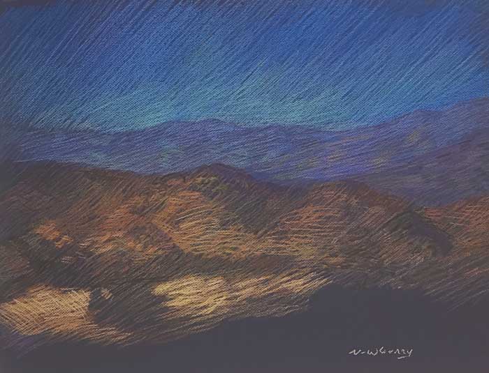 Newberry, Joshua Tree, 2020, pastel, 18 x 24"