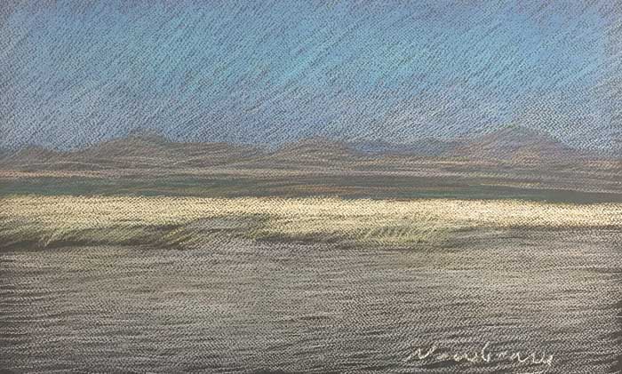 Newberry, Texas Grass, 2020, pastel, 13x18"
