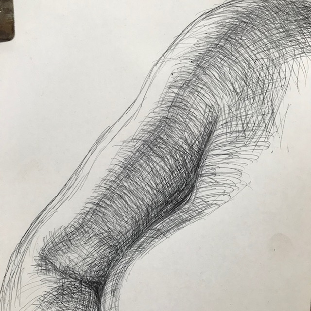 Newberry, Danae detail, right arm, ink