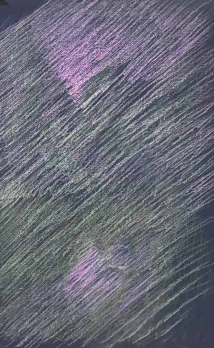 Susan Surber, Fulmor Lake