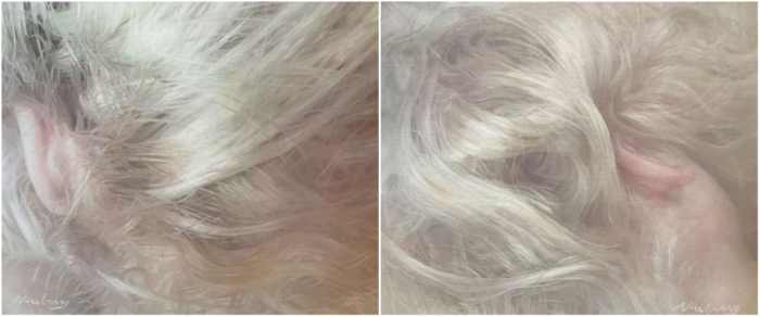 Newberry, Heady Currents, 2017, diptych, oil, 20x48