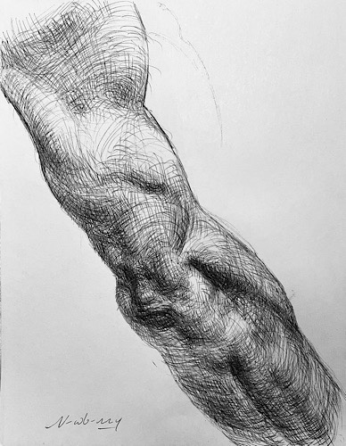 Newberry, Forearm Study, 2021, ink, 10x8"