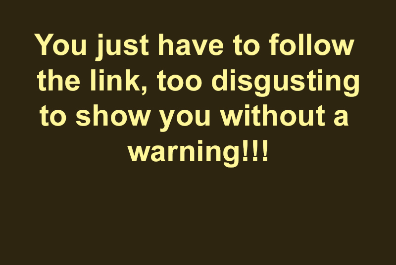 Link to Patricia Piccinini disgusting art, darling of the Deepstate