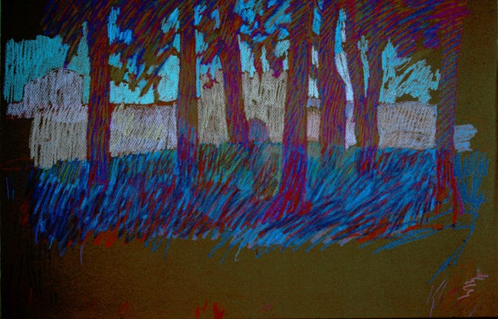 Newberry, Topkapi Palace Walls, 1988, pastel on paper, 19x26".