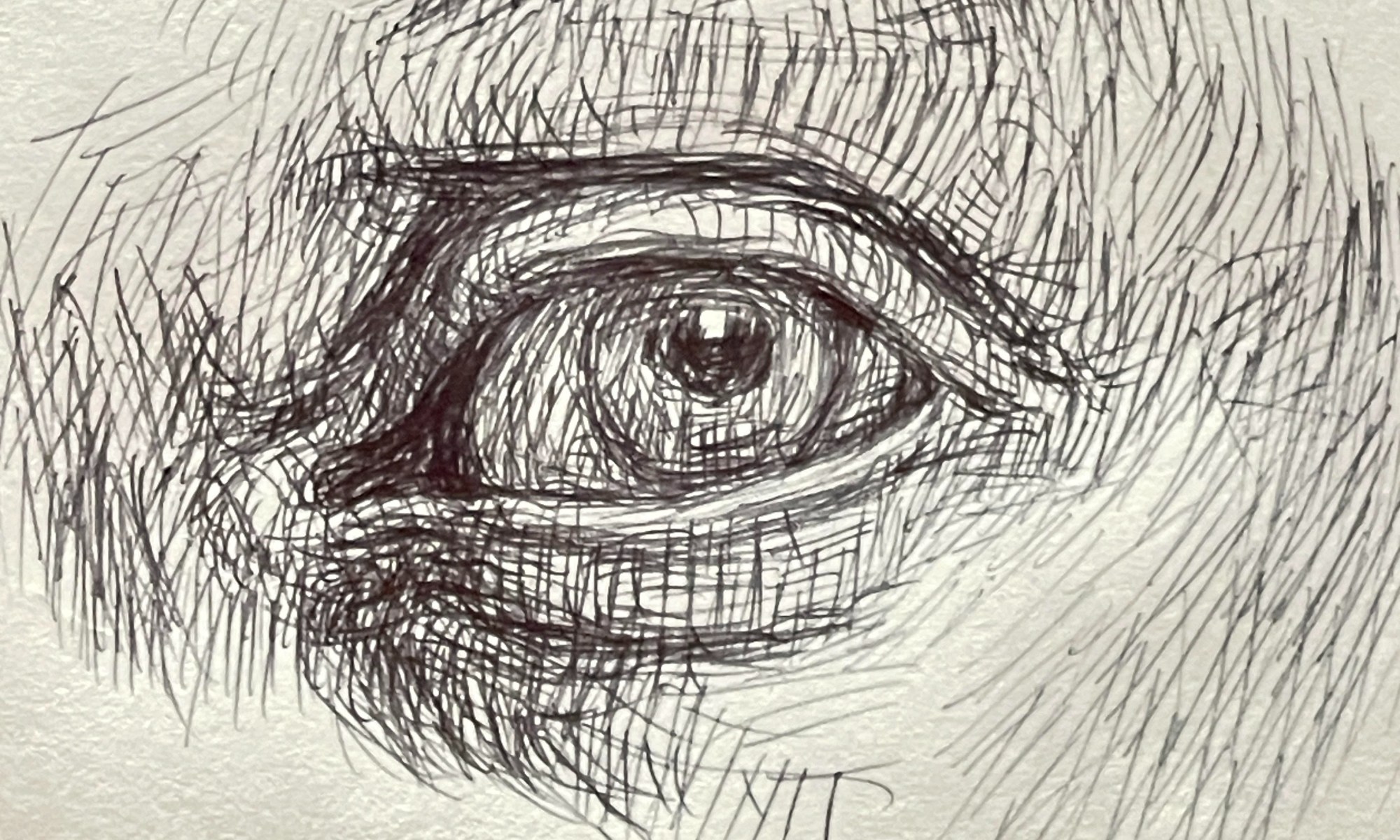 Newberry, David's Eye, 2023, ink.